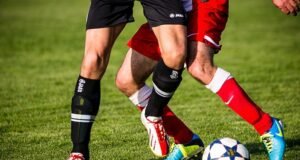 Hyundai Shell World Rally Team travels down under